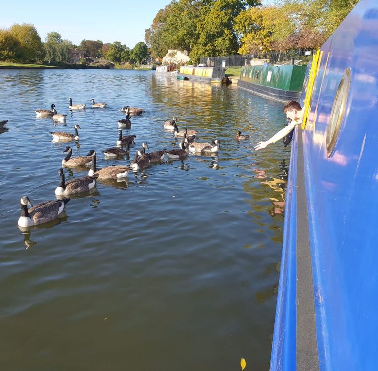 mooring pins and windlass